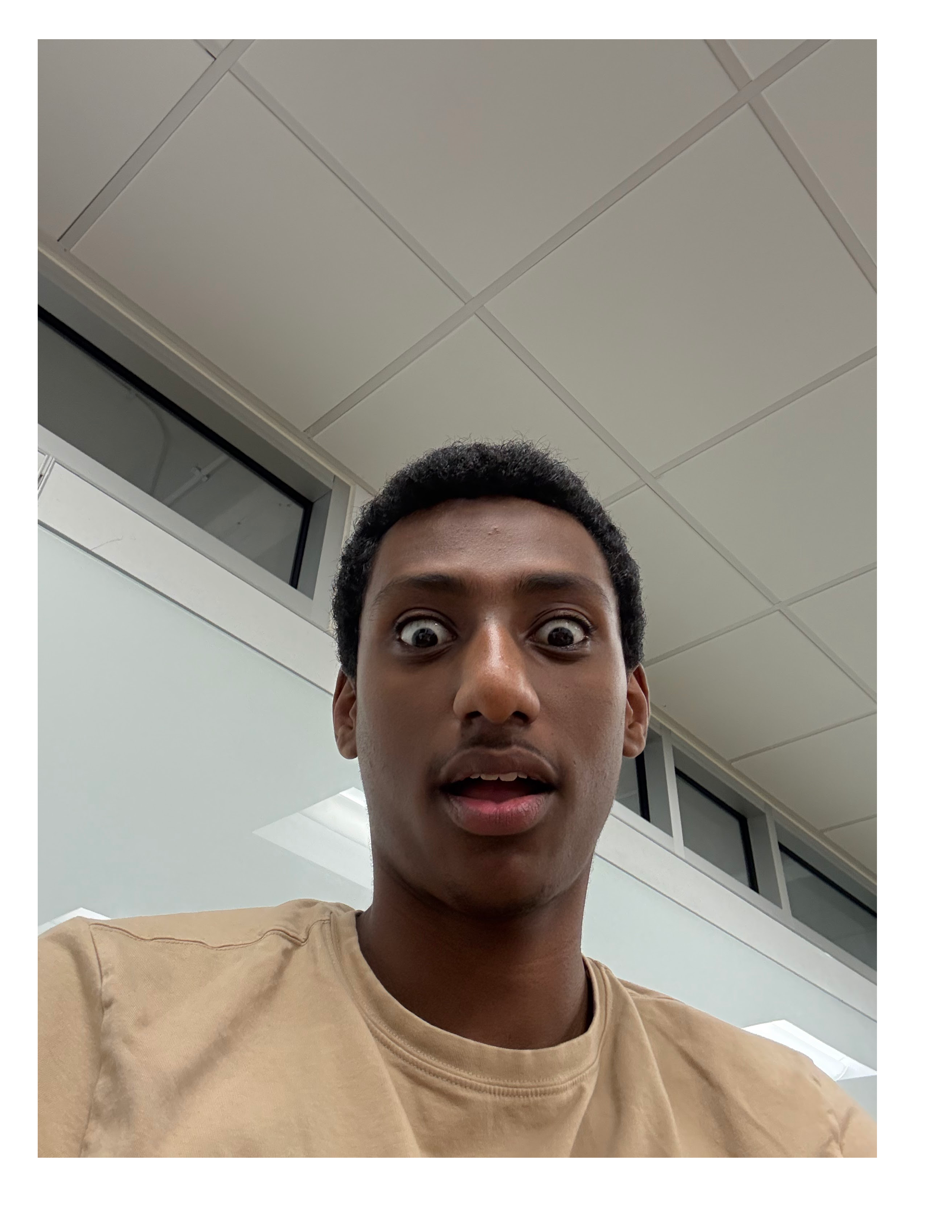 Web Traffic Analysis